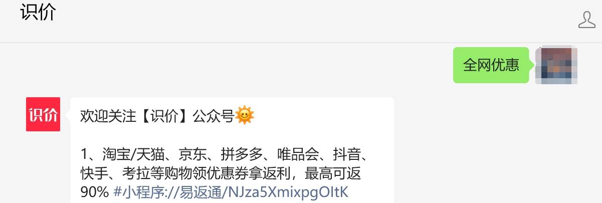 ：探索户外生活的理想庇护所冰球突破帐篷十大品牌推荐(图2)